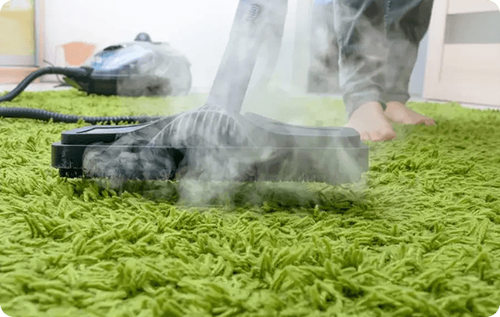 Rug Cleaning Services