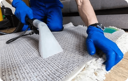 Carpet Cleaning services
