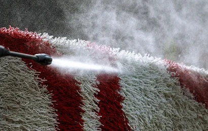 Steam Carpet Cleaning Services