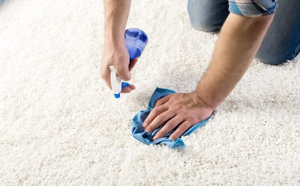 Best carpet stain removal Services