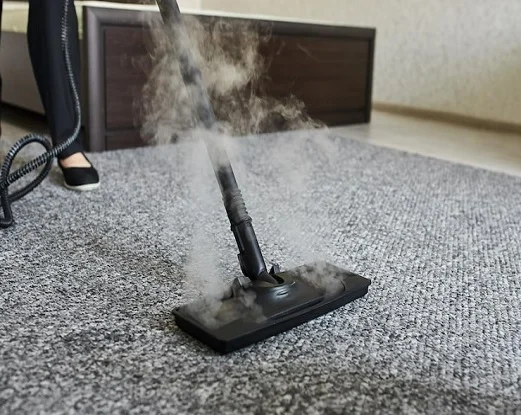 Best Steam Carpet Cleaning Services