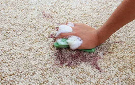 Best carpet stain removal Services