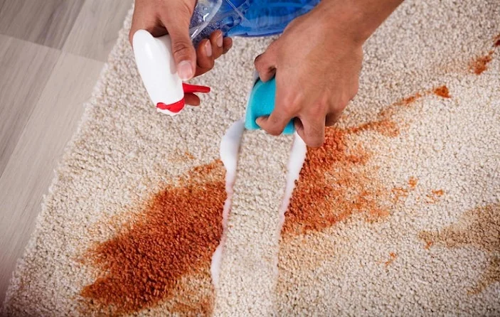 carpet stain removal Services