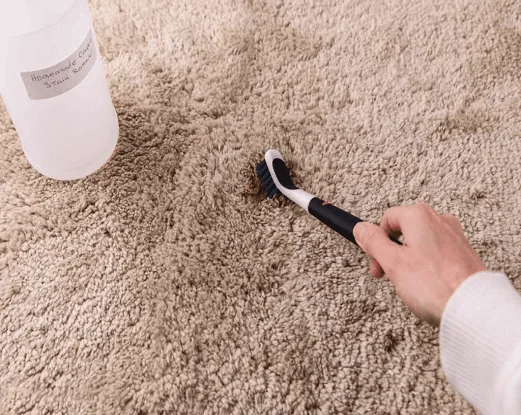 Best Carpet Cleaning Services in Cheadle