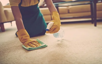 Best Carpet Cleaning in Sale