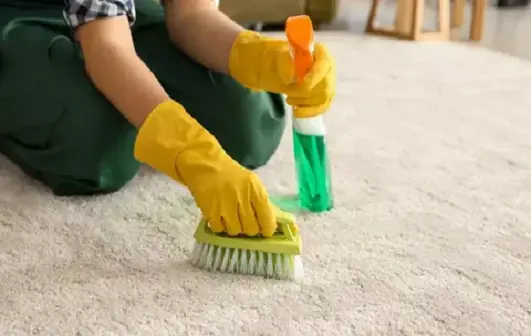 Best Carpet Cleaning services in Heaton Moor