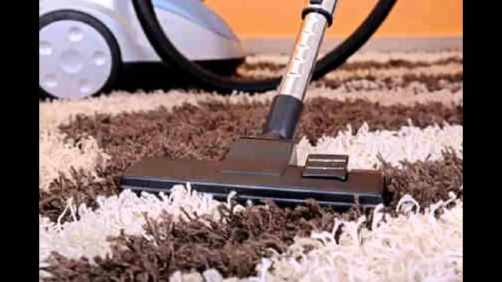 Professional Carpet Cleaning in Heaton Mersey