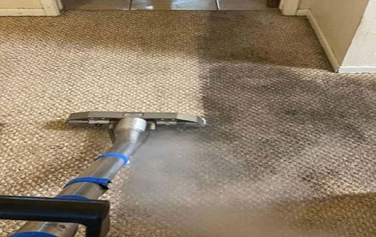 Professional Carpet Cleaning Sale