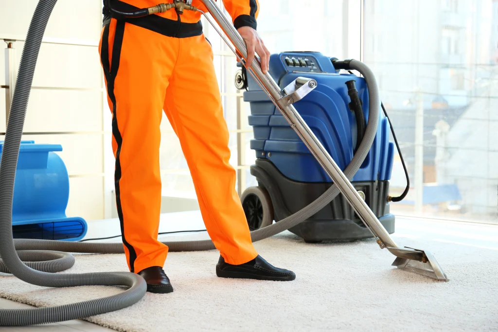 Professional Carpet Cleaning in Bramhall