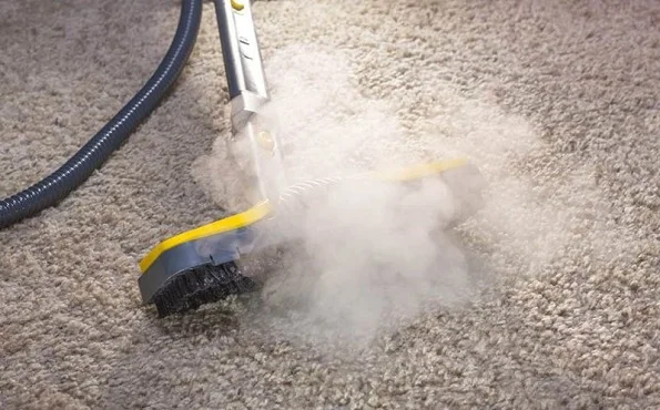 Can You Steam Clean a Loop Pile Carpet What You Need to Know