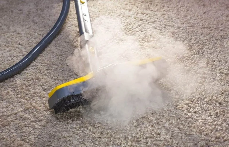 Can You Steam Clean a Loop Pile Carpet What You Need to Know